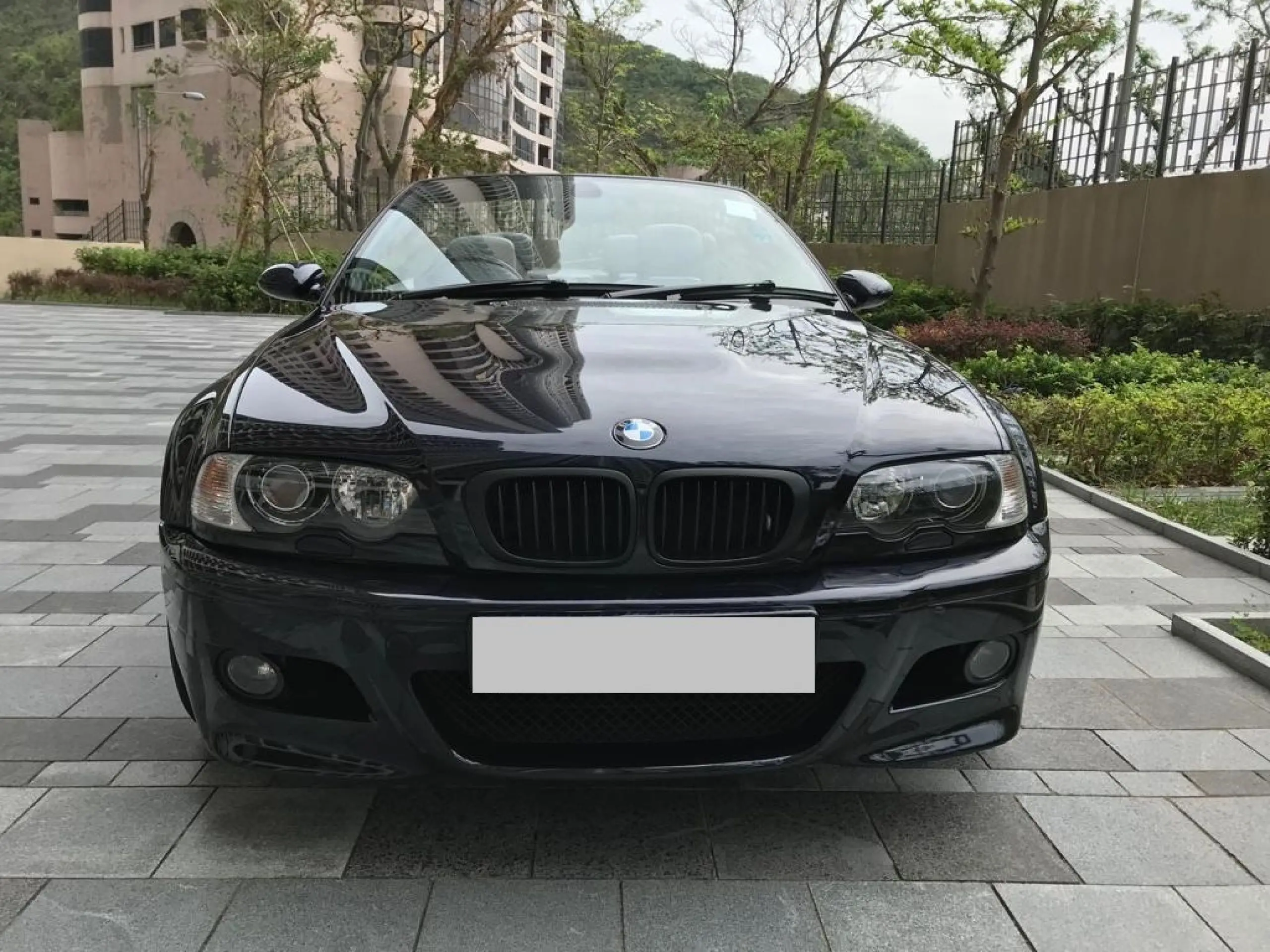 《宝马跑车》：速度与激情下的<a href='/section/1/135.html' target='_blank'>生命奇迹</a>，一场关于救赎的狂飙