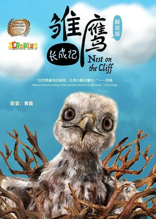 《雏鹰长成记》：梦想起飞，见证小鹰的成长蜕变之旅