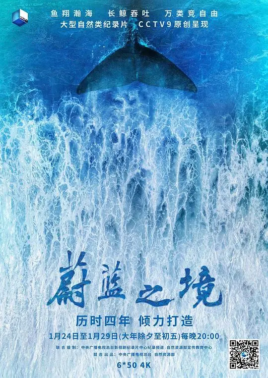 《蔚蓝之境》：探索海洋奥秘，感受生命的奇迹与挑战