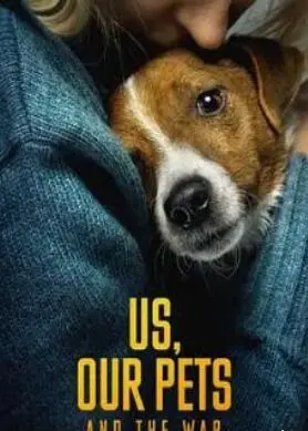 战争阴影下的温情：《我们、我们的宠物和战争》触动泪腺的生命礼赞