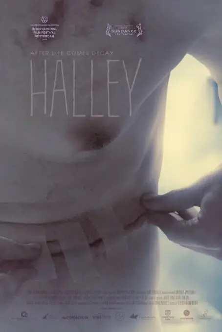 《哈雷》影评：欲望深渊的残酷绽放，挑战道德底线的极致之作