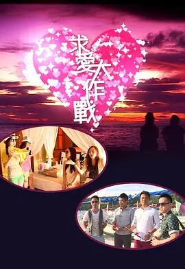 《求爱大作战2013》：国产爱情喜剧的“诚意”之作？看明星们如何“拼尽全力”追爱！