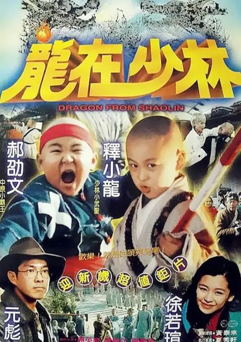 《龙在少林》：少林功夫PK现代犯罪，李连杰武打动作燃爆，可惜剧情有点虎头蛇尾
